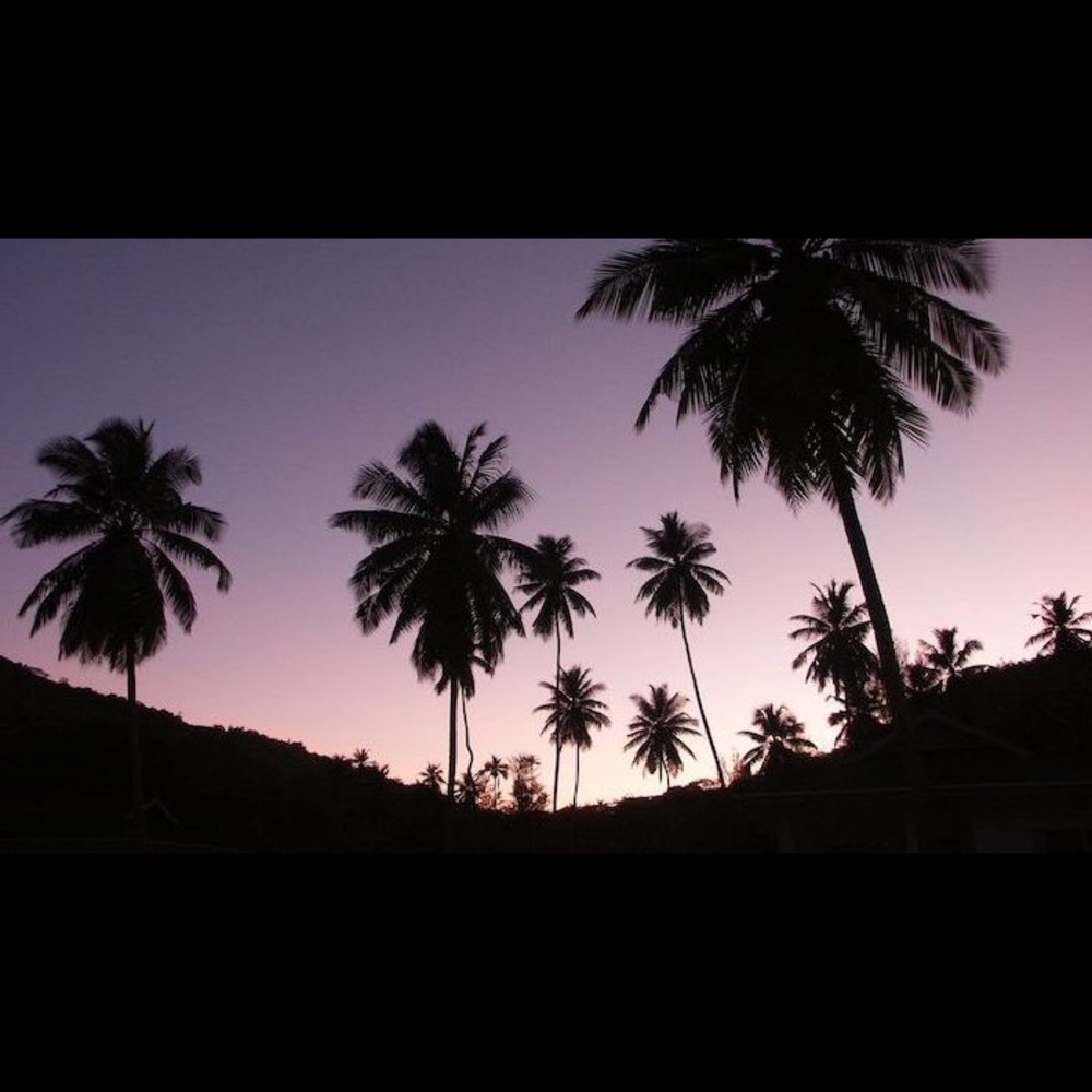 Meet your Posher, Kaydence